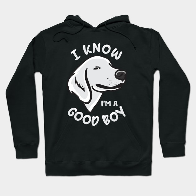 Funny Dog Jokes and Humor Good Boy Hoodie by Dogiviate